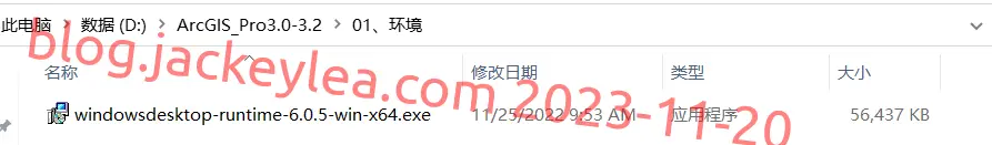 .net runtime 程序