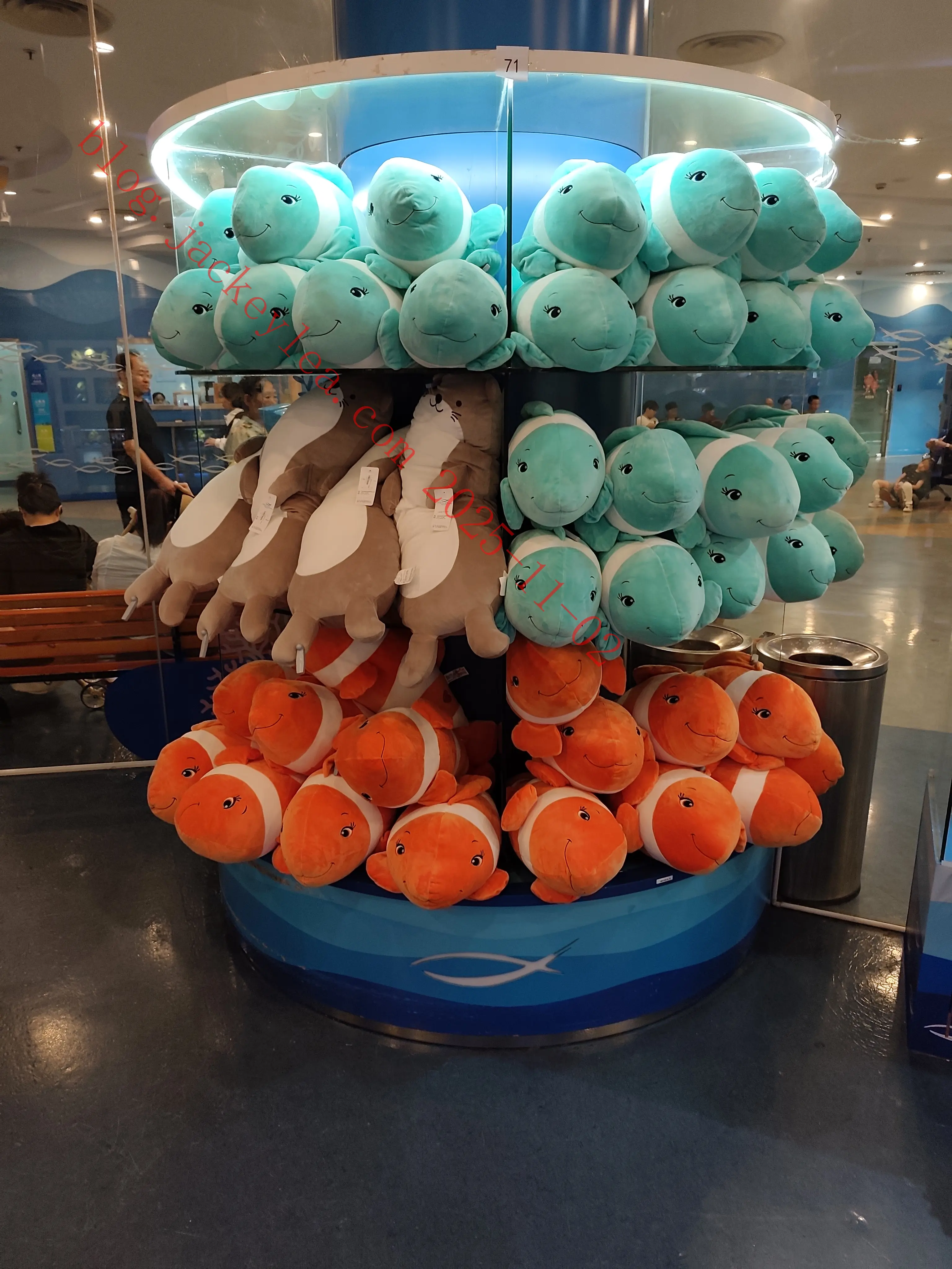 上海海洋水族馆