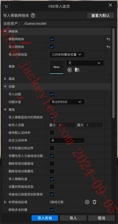 导入选项